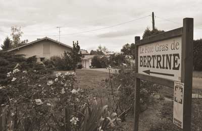 L'histoire de Bertrine