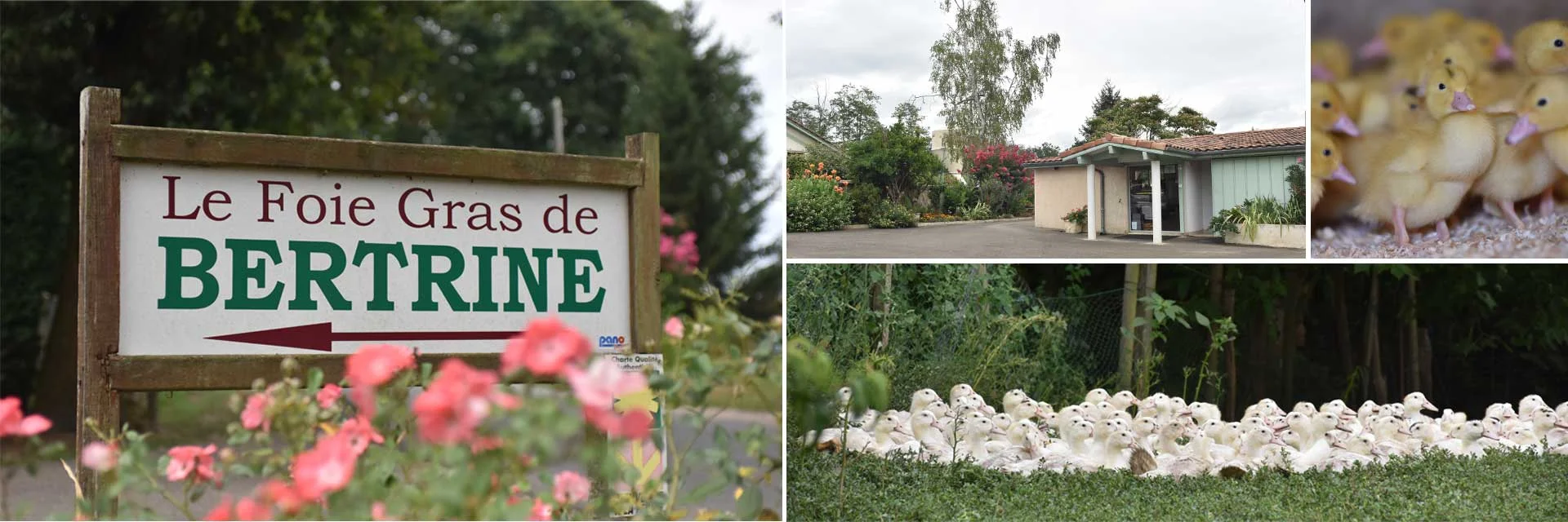 Producteur - Conserveur